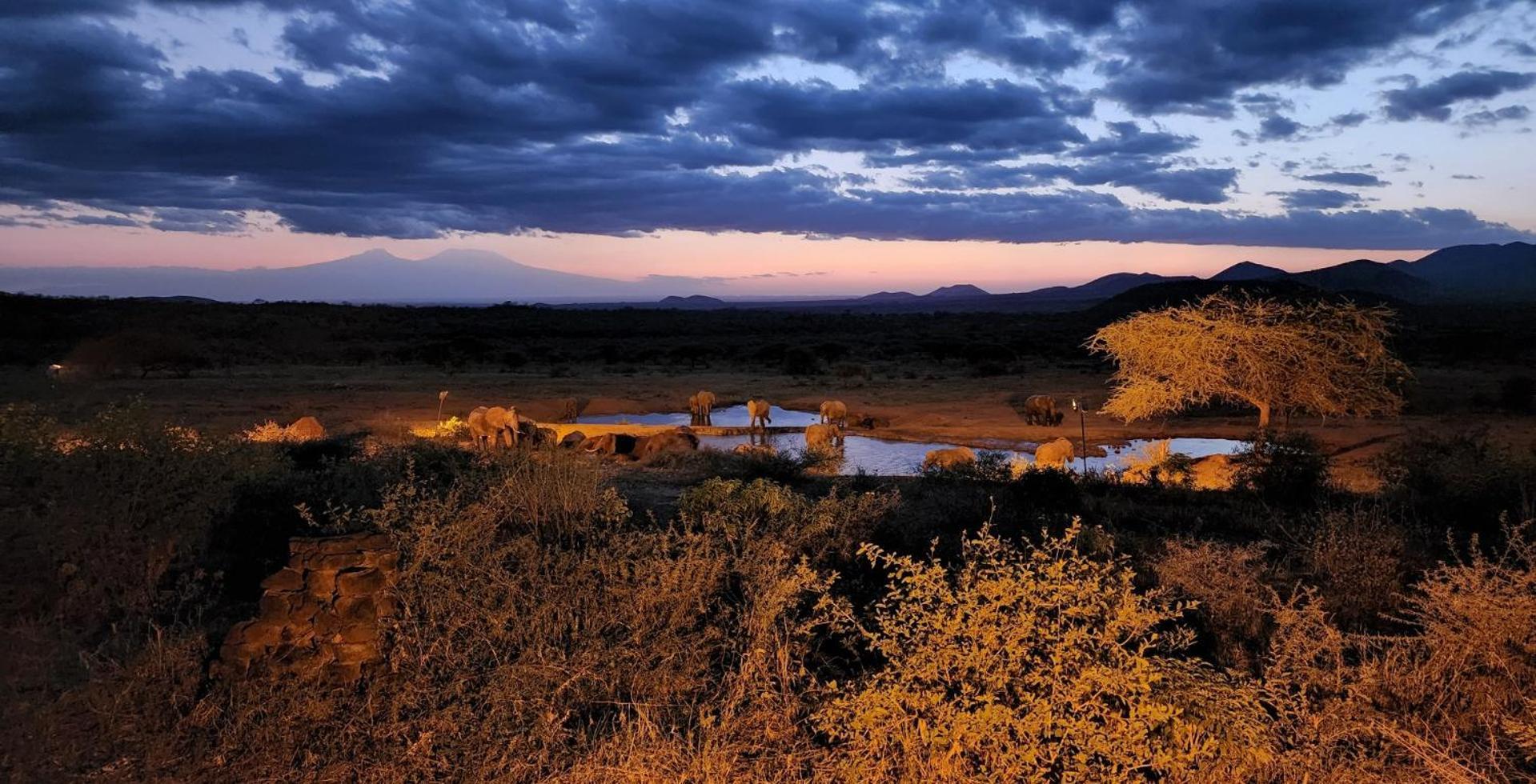 Kilaguni Serena Safari Lodge Tsavo Exterior photo